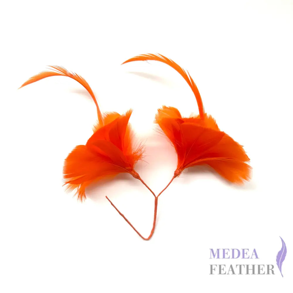 Double Goose Feather Mount DS260523