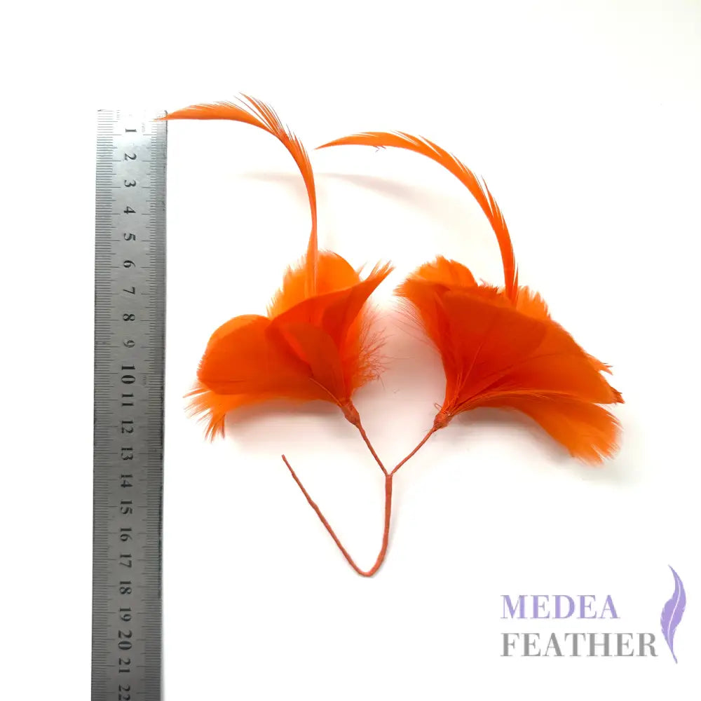 Double Goose Feather Mount DS260523