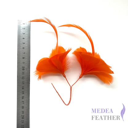 Double Goose Feather Mount DS260523