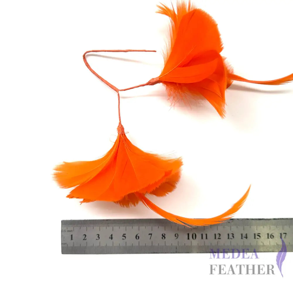 Double Goose Feather Mount DS260523