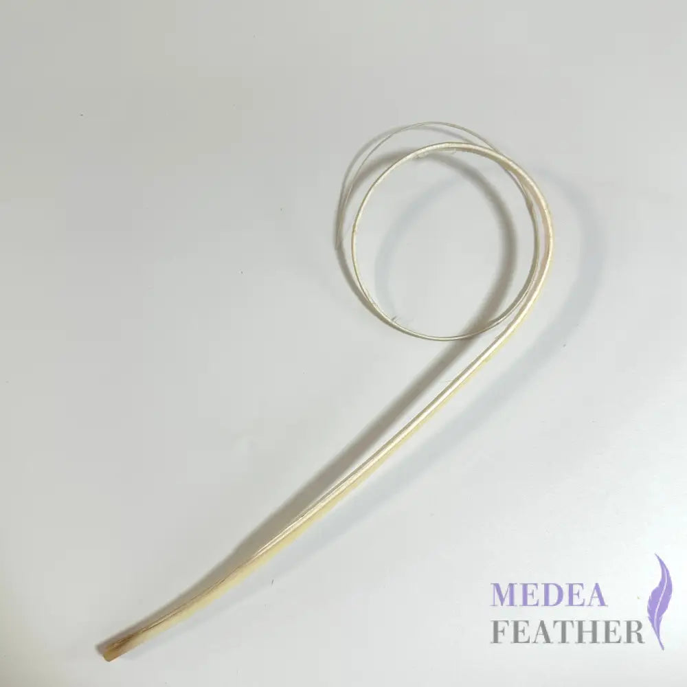 Double Loop Curved Ostrich Feather Quill - #01 Ivory