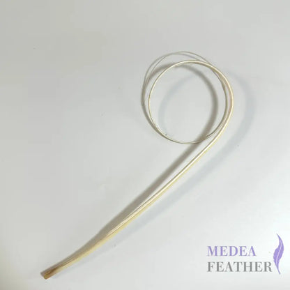 Double Loop Curved Ostrich Feather Quill - #01 Ivory