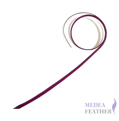 Double Loop Curved Ostrich Feather Quill
