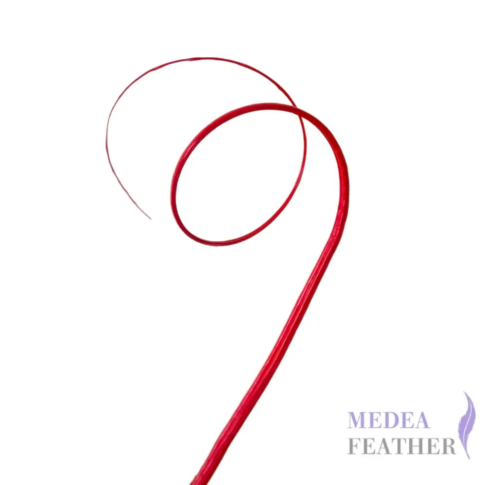 Double Loop Curved Ostrich Feather Quill - #22 red