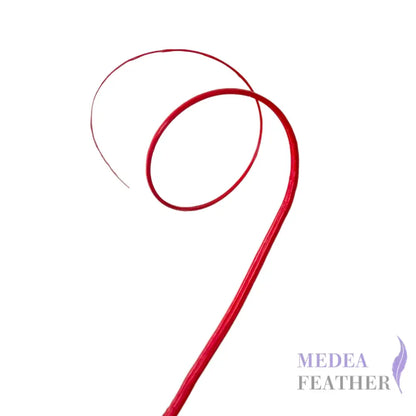 Double Loop Curved Ostrich Feather Quill - #22 red