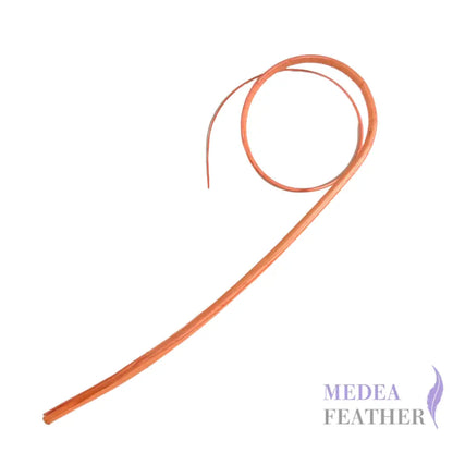 Double Loop Curved Ostrich Feather Quill - #32 coral rose
