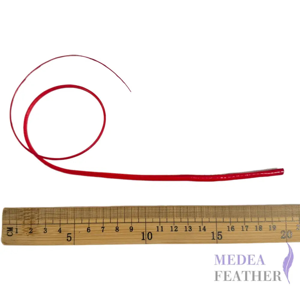 Double Loop Curved Ostrich Feather Quill