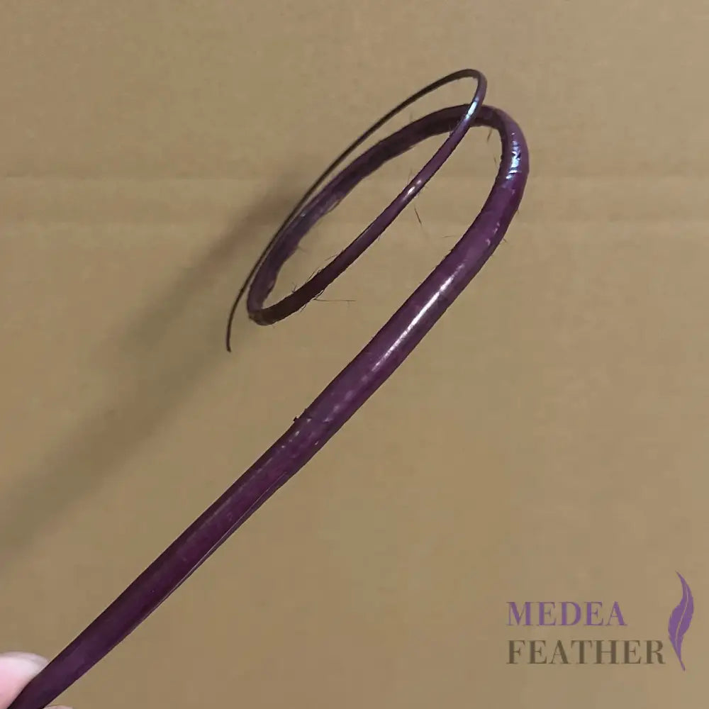 Double Loop Curved Ostrich Feather Quill - #60 dark purple