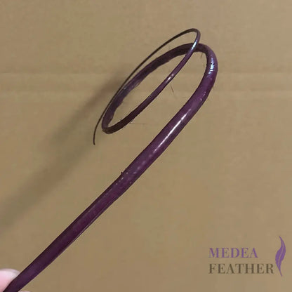 Double Loop Curved Ostrich Feather Quill - #60 dark purple