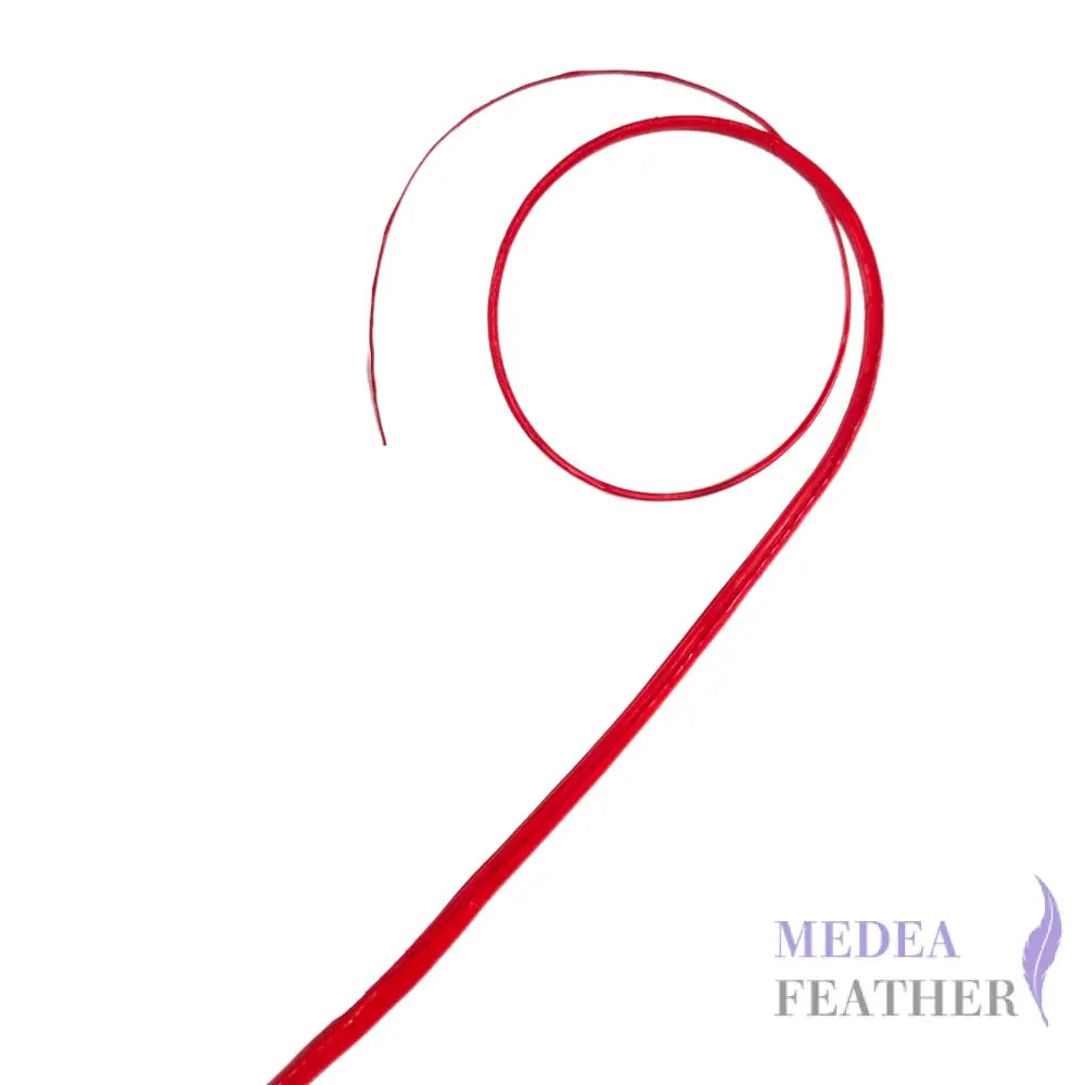 Double Loop Curved Ostrich Feather Quill