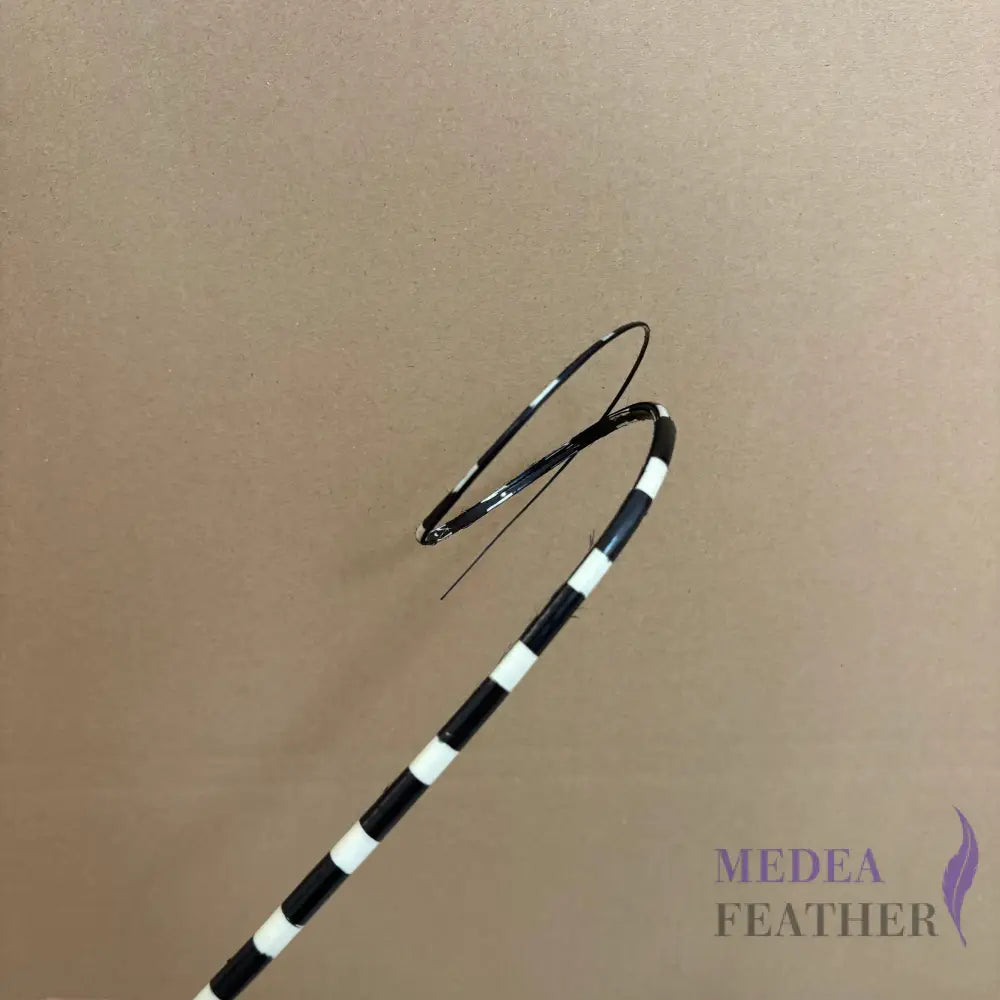 Loop Two Tone Ostrich Feather Quill (Copy) - #03 black + ivory base