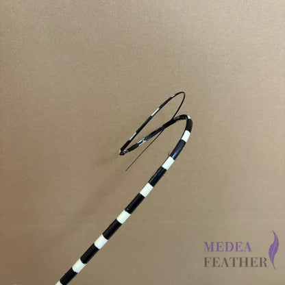 Loop Two Tone Ostrich Feather Quill (Copy) - #03 black + ivory base