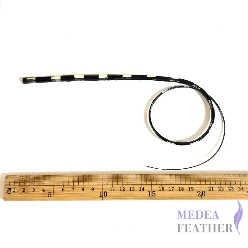 Loop Two Tone Ostrich Feather Quill (Copy)