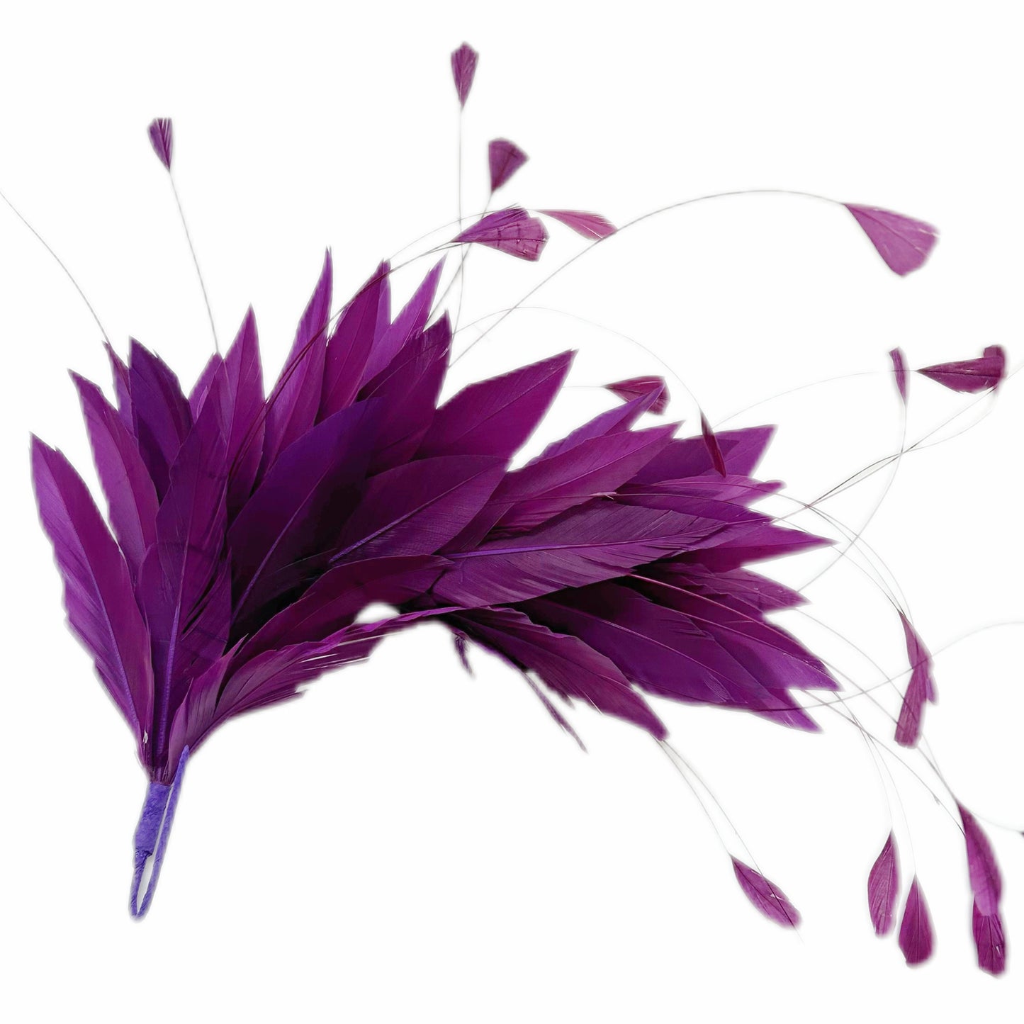 Goose and Coque Feather Mount FM304