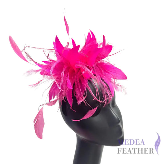 Emu and Coque Feather Mount