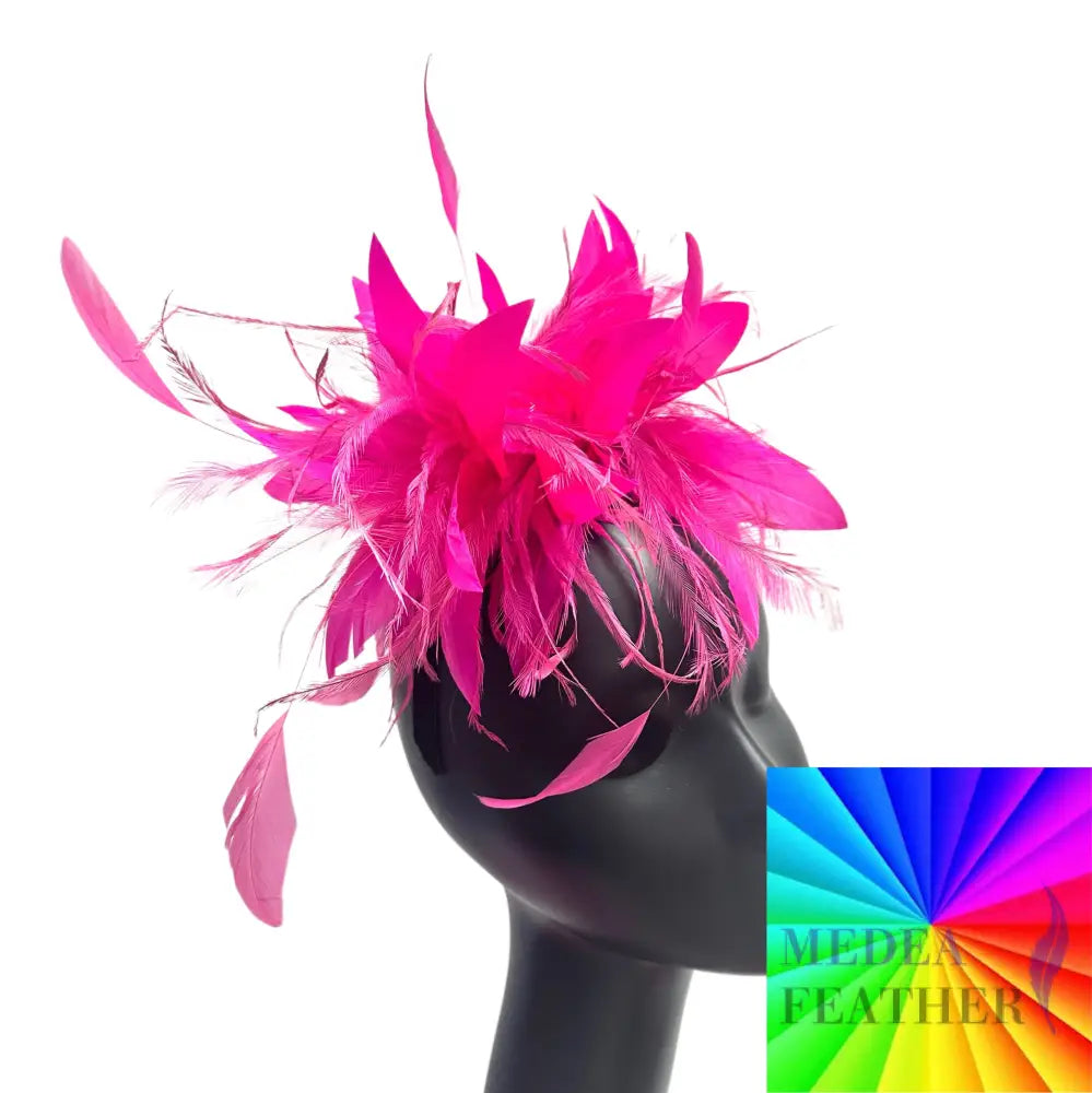 Emu and Coque Feather Mount Custom - Please add text below