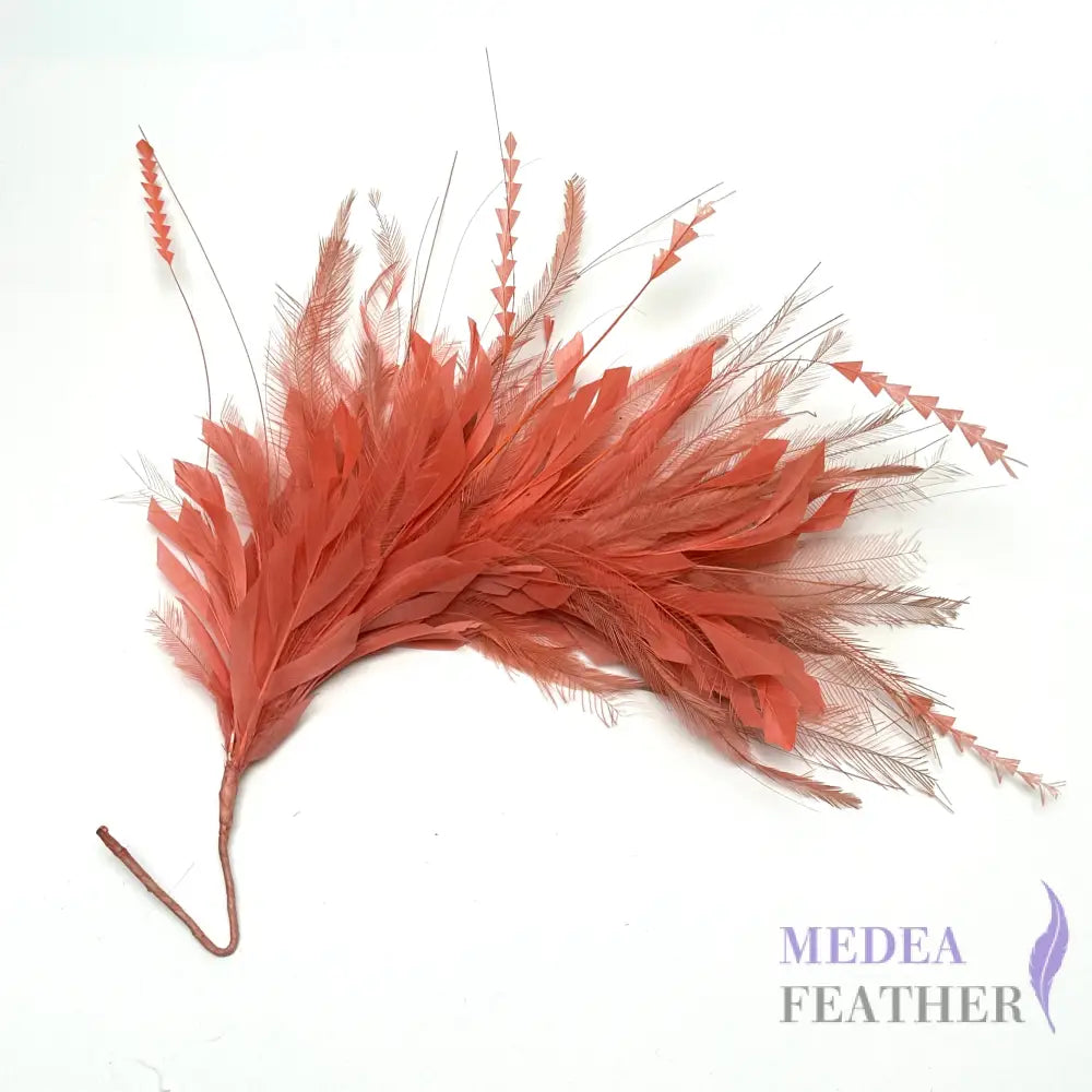 Emu and Zigzag Coque Feather Mount Custom - Please add text below