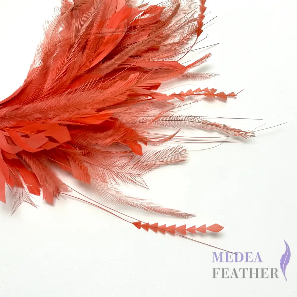 Emu and Zigzag Coque Feather Mount Custom - Please add text below