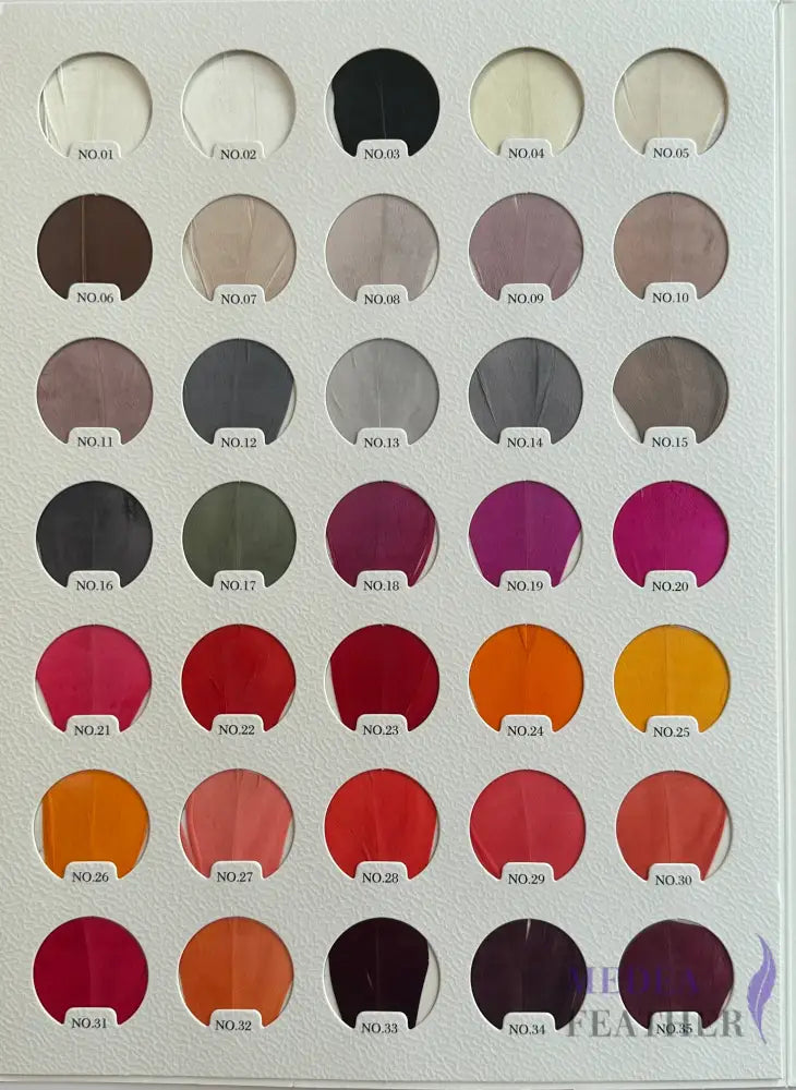 Feather Colour Card Chart 105 colours