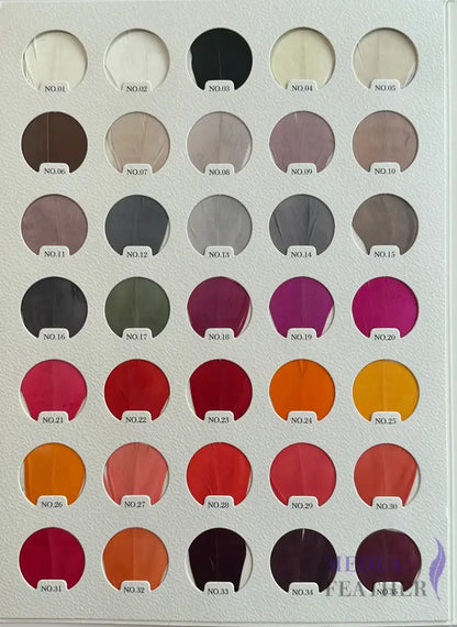 Feather Colour Card Chart 105 colours