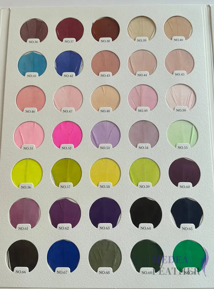 Feather Colour Card Chart 105 colours