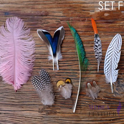 Feather Set for Fascinator DIY