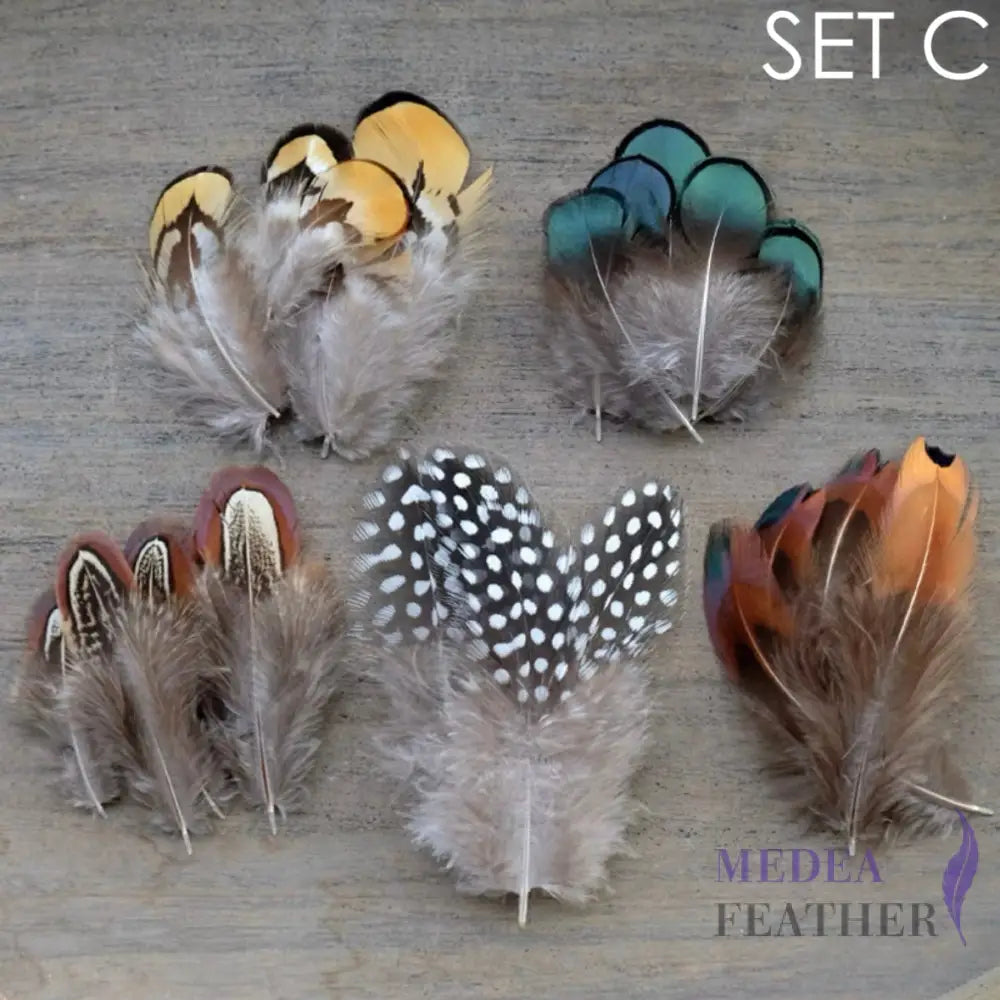 Feather Set for Fascinator DIY