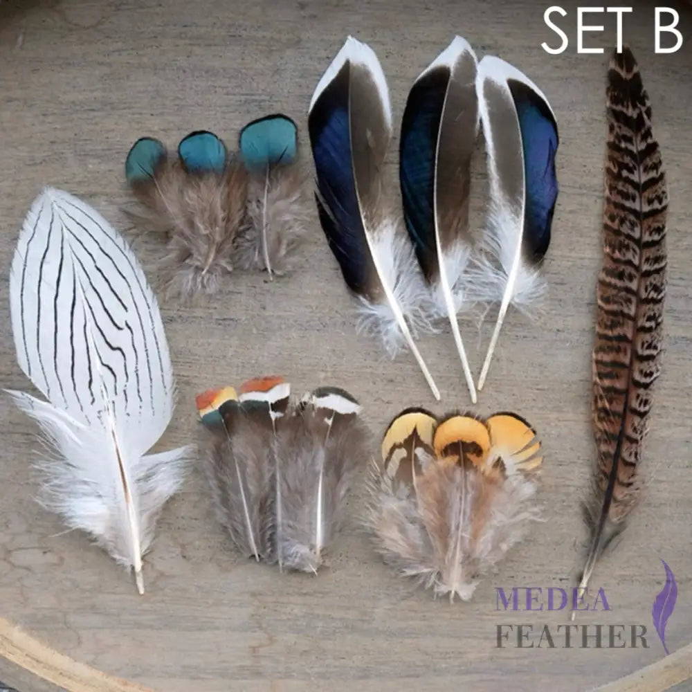 Feather Set for Fascinator DIY