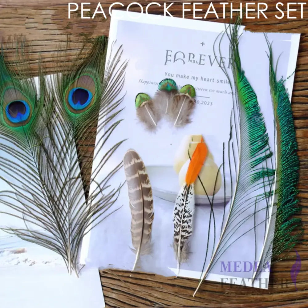 Feather Set for Fascinator DIY