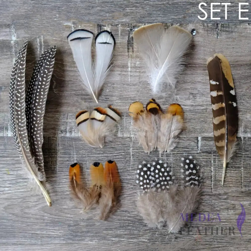 Feather Set for Fascinator DIY