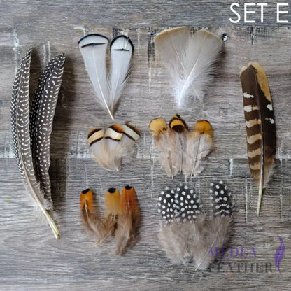 Feather Set for Fascinator DIY