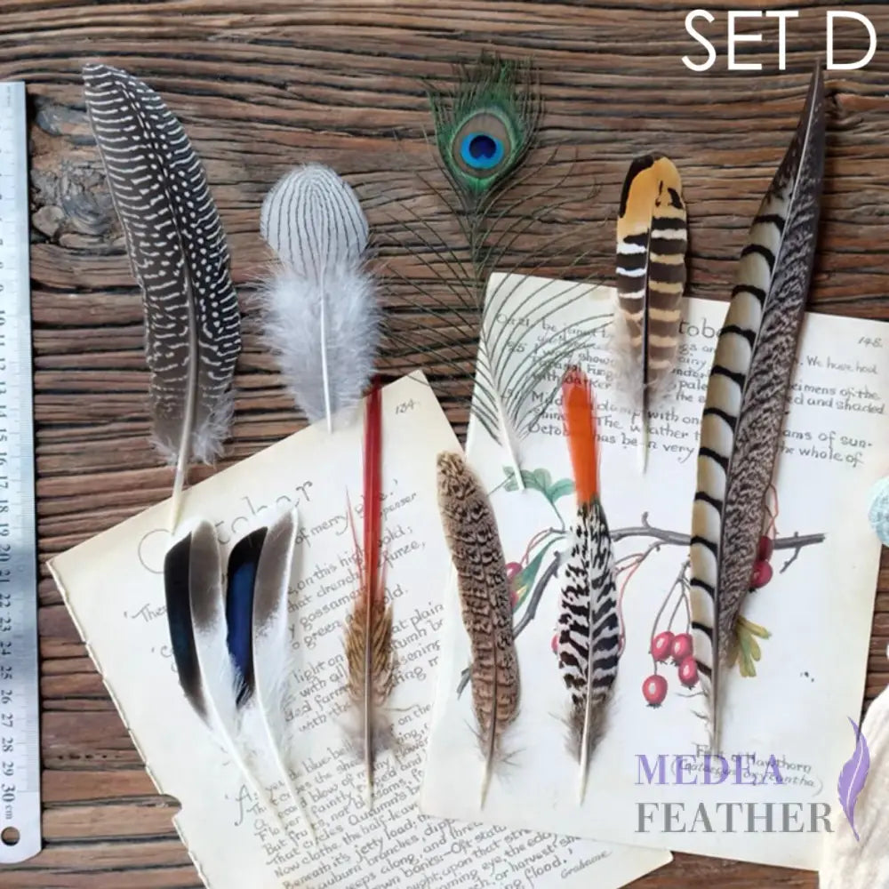 Feather Set for Fascinator DIY