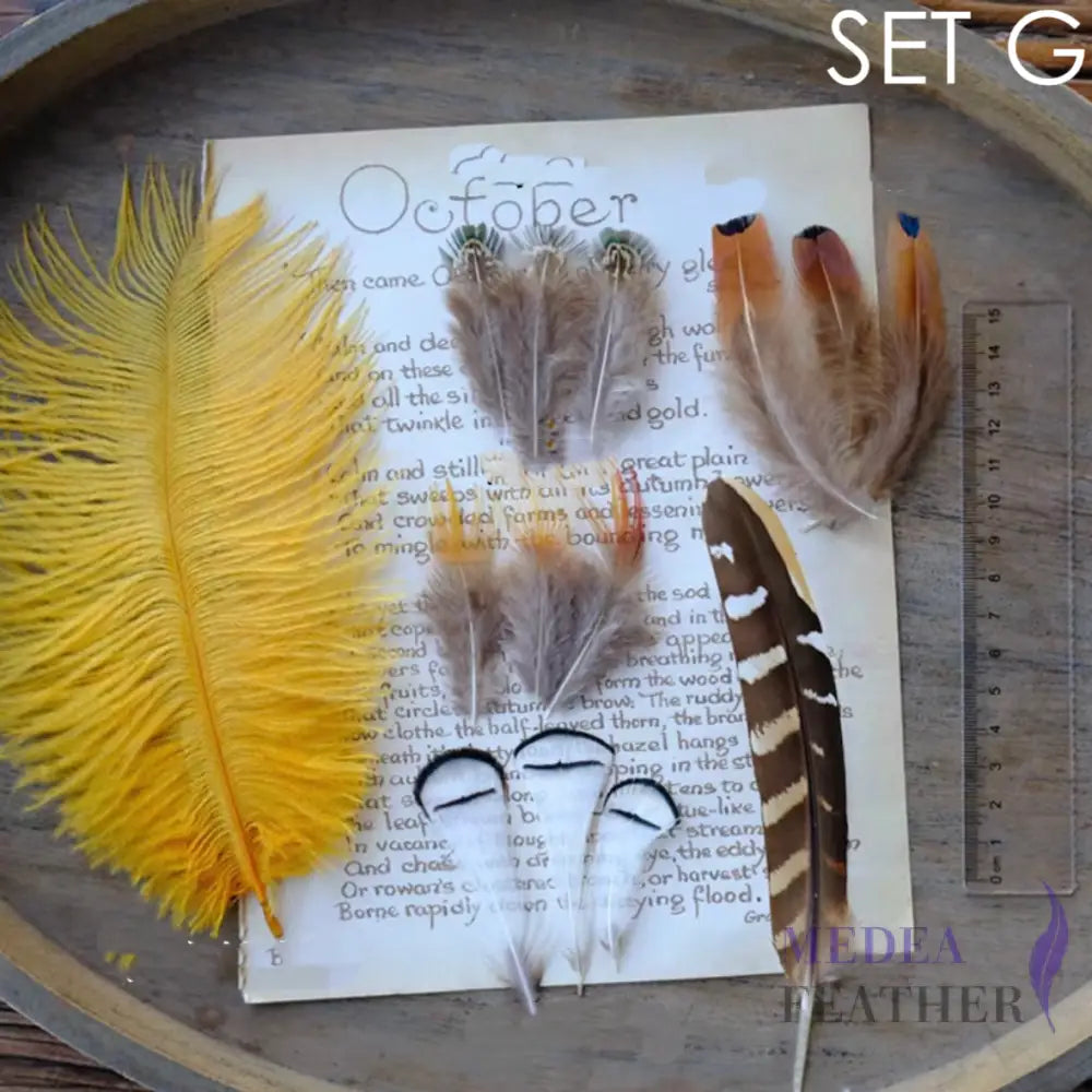 Feather Set for Fascinator DIY