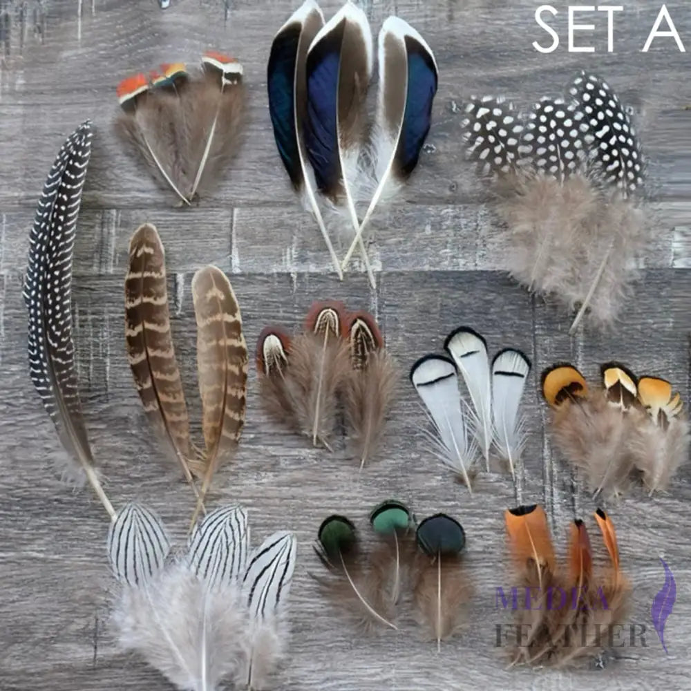 Feather Set for Fascinator DIY