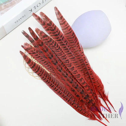Female Ringneck Pheasant Tails-Pack of 10 SF020 Red
