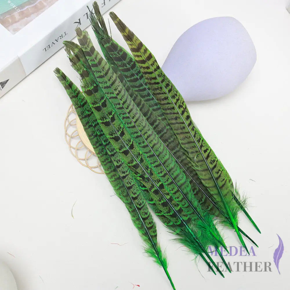 Female Ringneck Pheasant Tails-Pack of 10 SF020