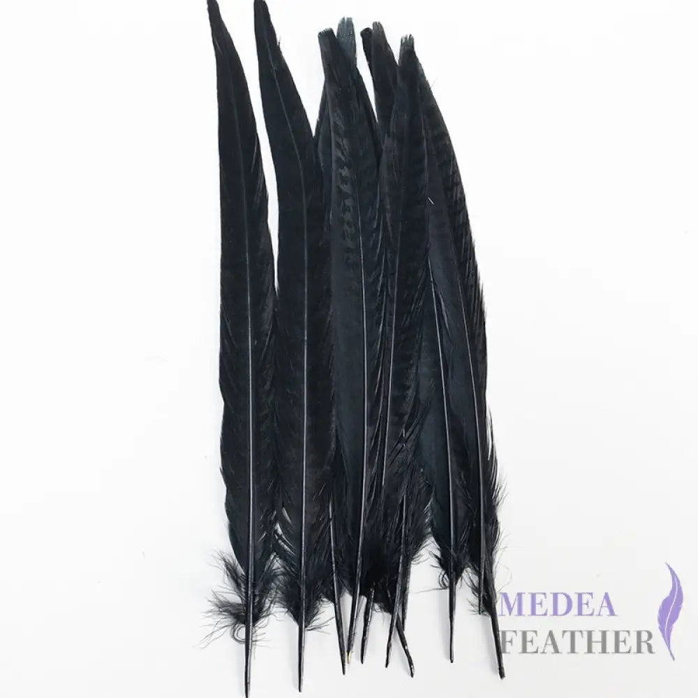 Female Ringneck Pheasant Tails-Pack of 10 SF020