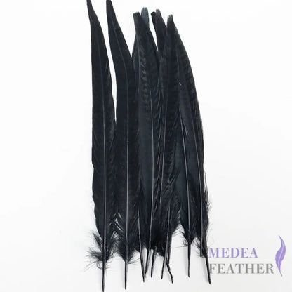 Female Ringneck Pheasant Tails-Pack of 10 SF020