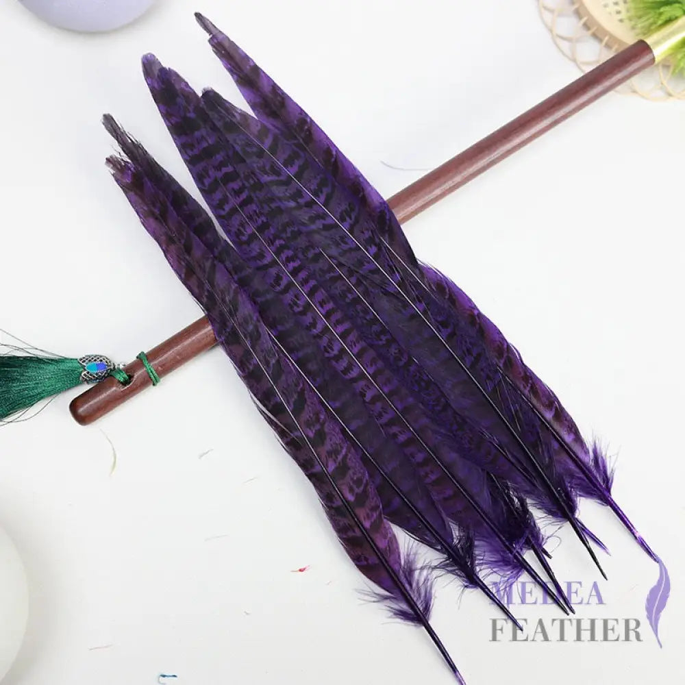 Female Ringneck Pheasant Tails-Pack of 10 SF020