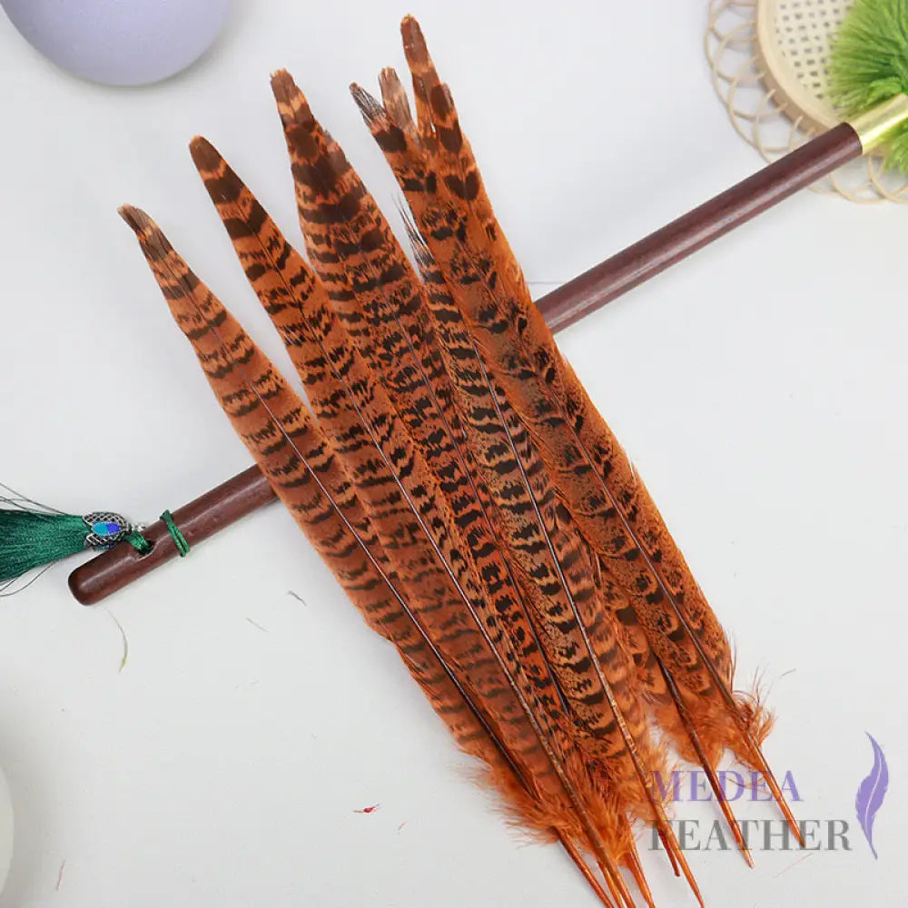 Female Ringneck Pheasant Tails-Pack of 10 SF020