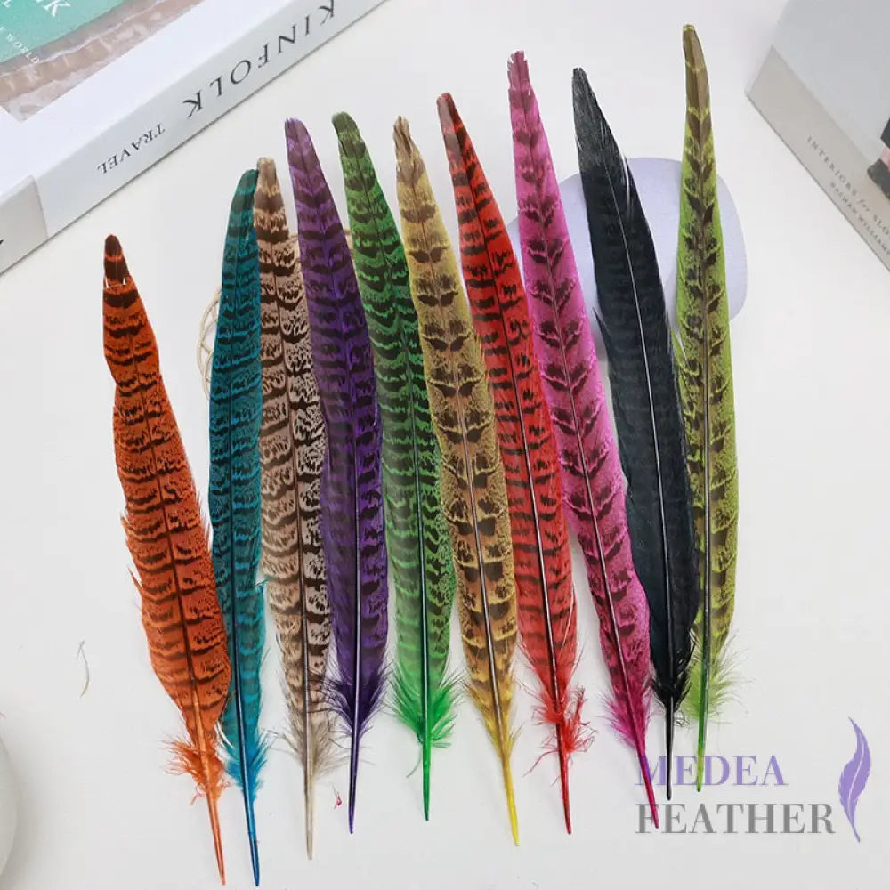 Female Ringneck Pheasant Tails-Pack of 10 SF020