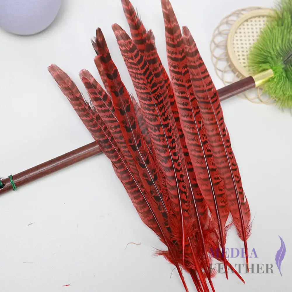 Female Ringneck Pheasant Tails-Pack of 10 SF020