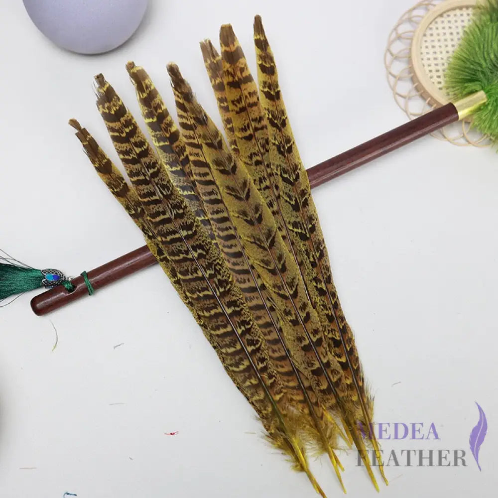 Female Ringneck Pheasant Tails-Pack of 10 SF020