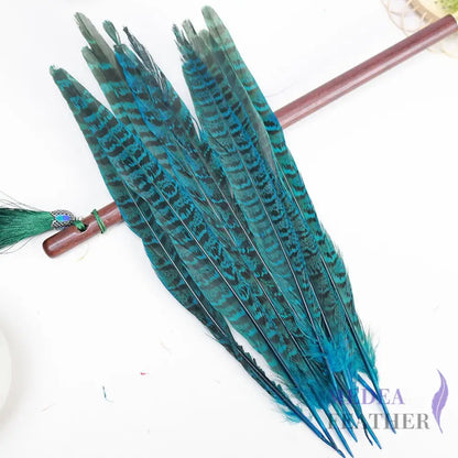 Female Ringneck Pheasant Tails-Pack of 10 SF020