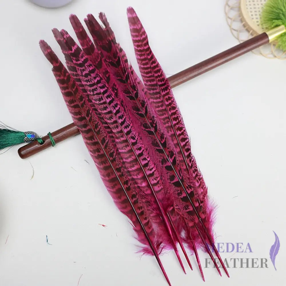 Female Ringneck Pheasant Tails-Pack of 10 SF020