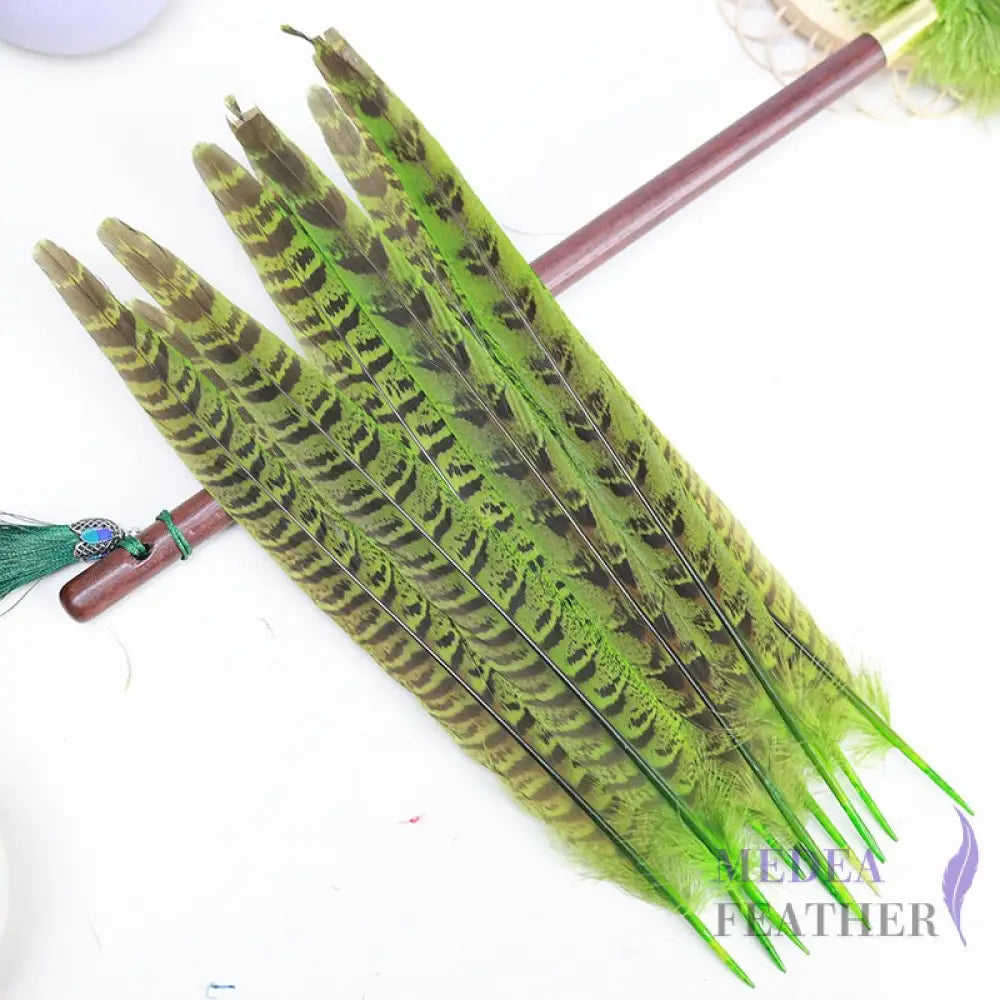 Female Ringneck Pheasant Tails-Pack of 10 SF020