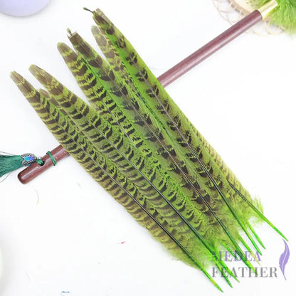 Female Ringneck Pheasant Tails-Pack of 10 SF020