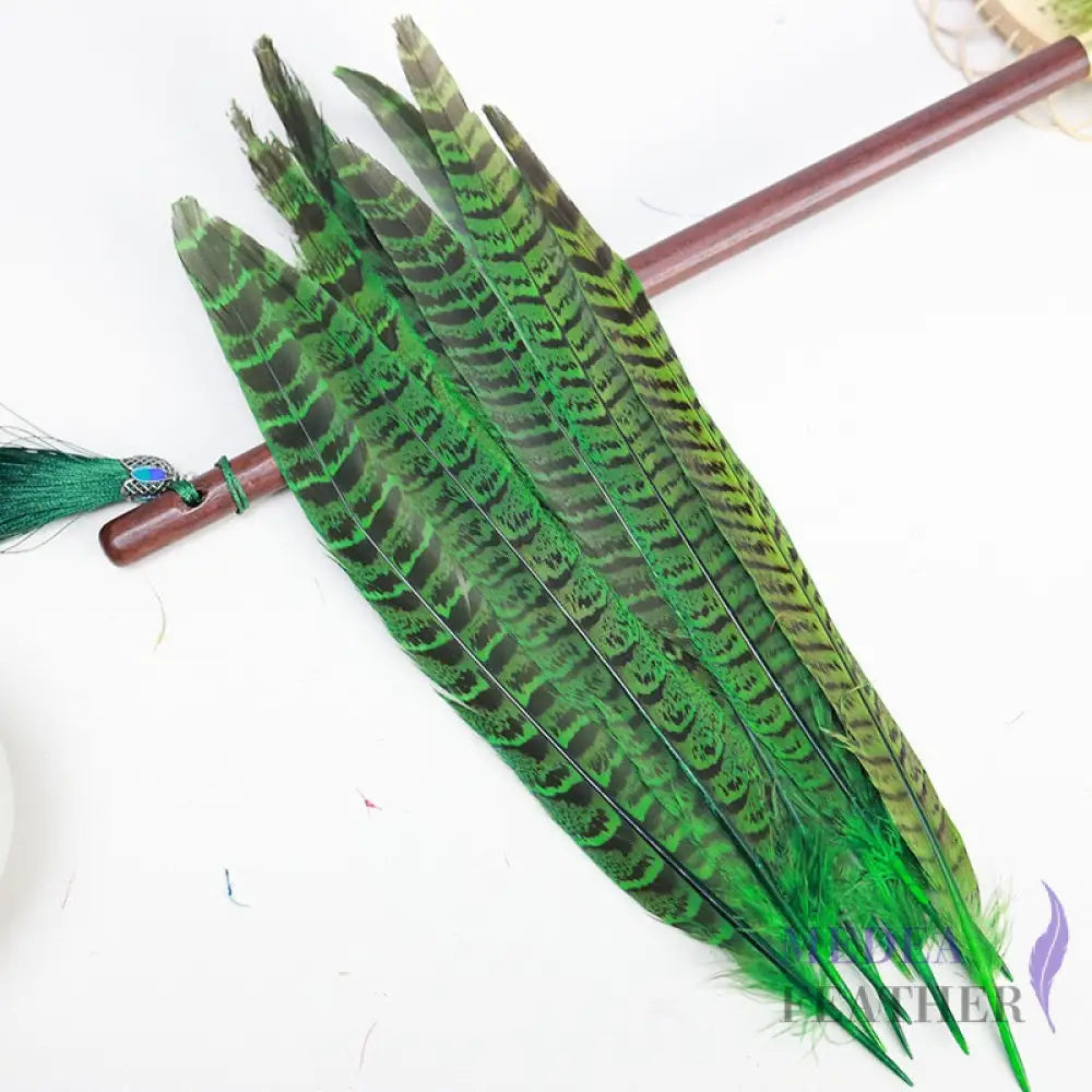 Female Ringneck Pheasant Tails-Pack of 10 SF020 Green
