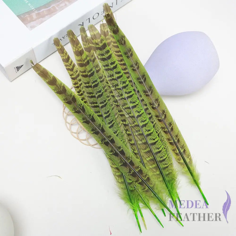Female Ringneck Pheasant Tails-Pack of 10 SF020 Lime