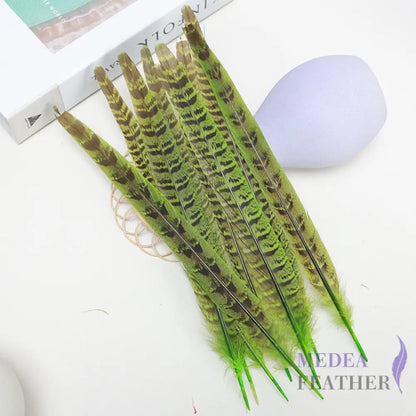 Female Ringneck Pheasant Tails-Pack of 10 SF020 Lime